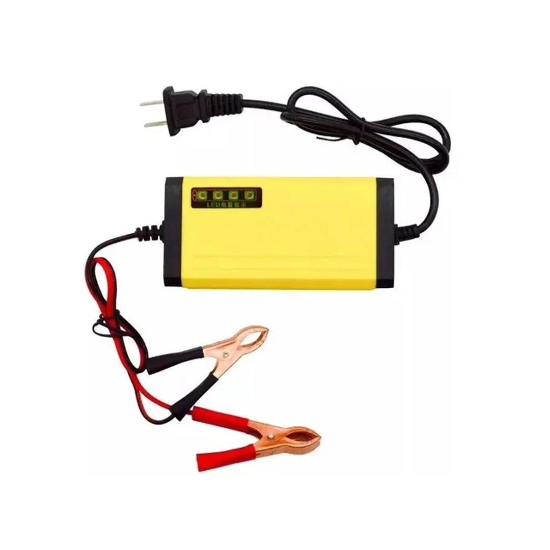 (3376) Cargador para bateria 12v/24v 2a